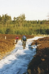 wp1cb3018e.jpg