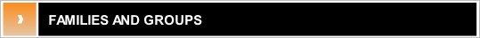 wpc7f071b4.png