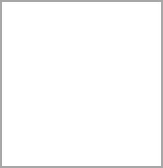 Guided
Rides